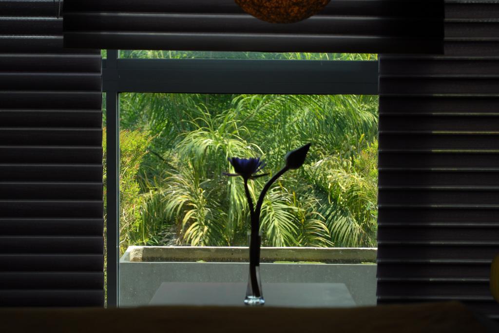 Hotel Topaz Kandy Dış mekan fotoğraf